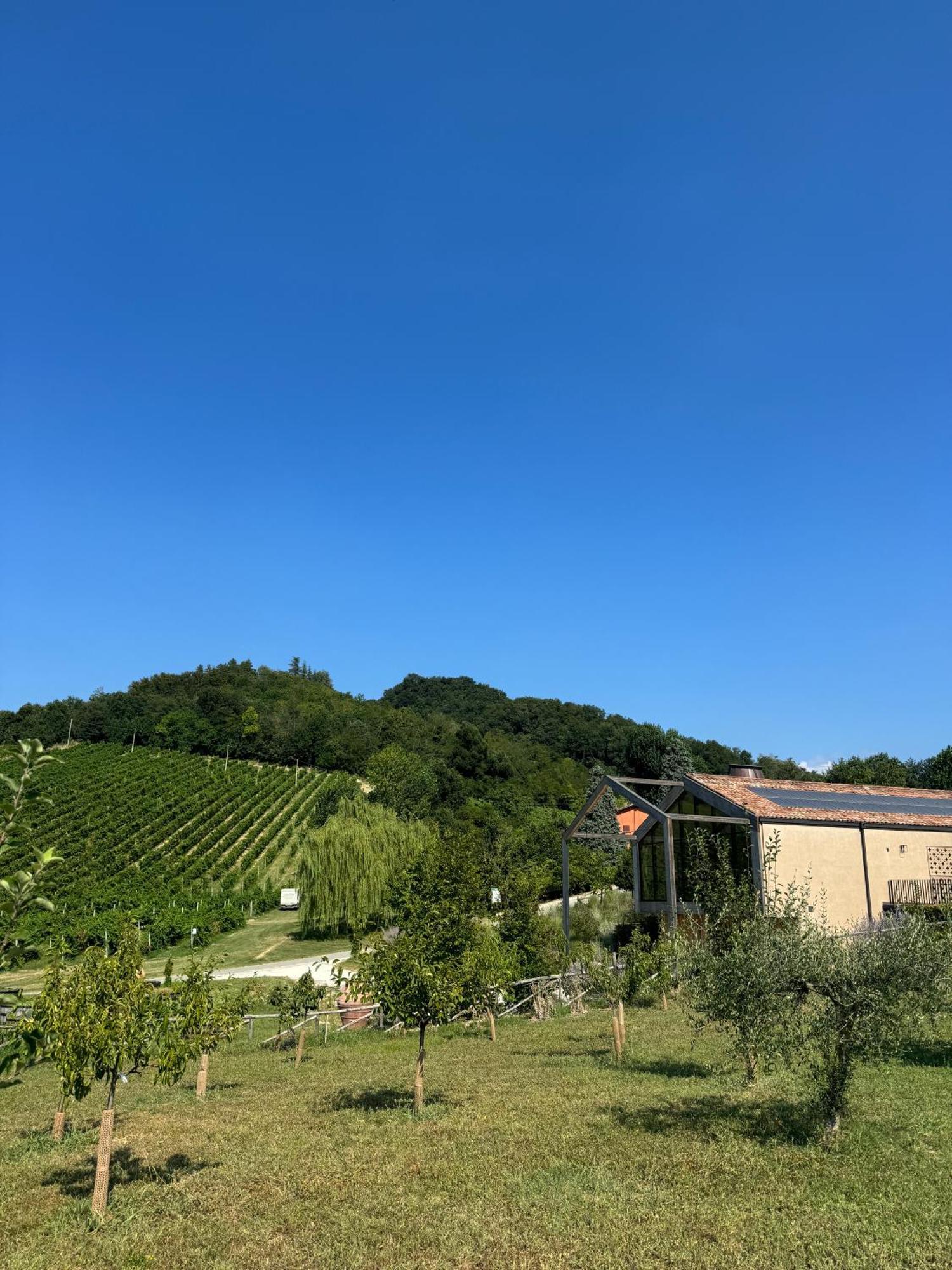 Corte D'Aibo Monteveglio Buitenkant foto